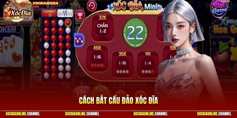 Cách Bắt Cầu Đảo Xóc Đĩa - Phương Pháp Để Chinh Phục Game