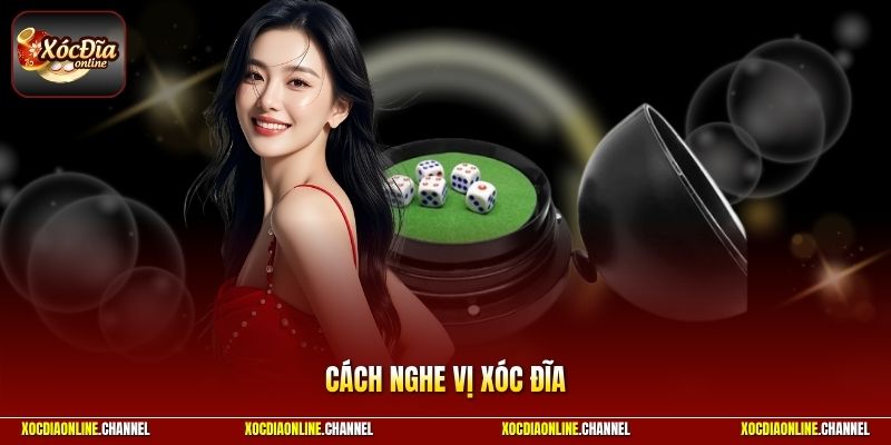 Cách Nghe Vị Xóc Đĩa Hiệu Quả Nâng Tỷ Lệ Dự Đoán Chính Xác