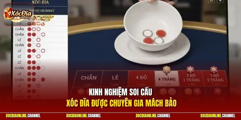Kinh nghiệm soi cầu xóc đĩa được chuyên gia mách bảo