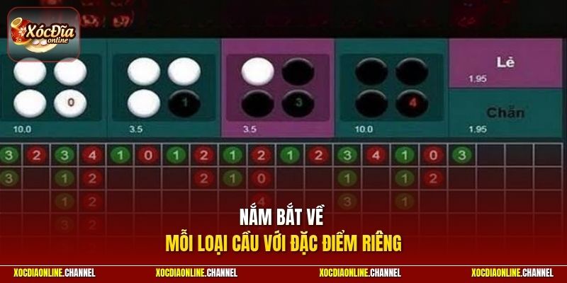 Nắm bắt về mỗi loại cầu với đặc điểm riêng