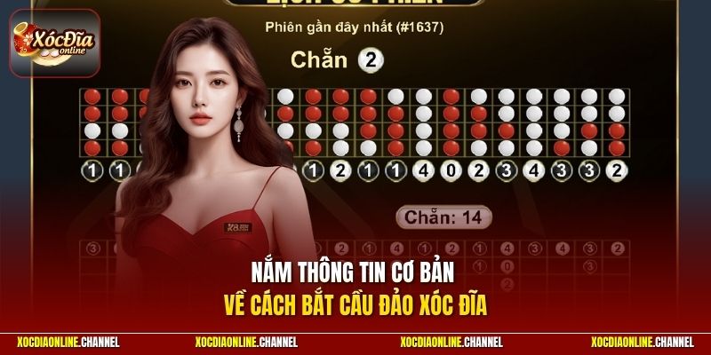 Nắm thông tin cơ bản về cách bắt cầu đảo xóc đĩa