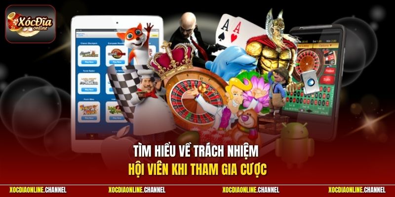Tìm hiểu về trách nhiệm hội viên khi tham gia cược