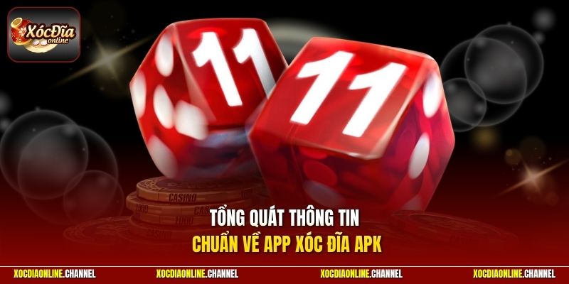 Tổng quát thông tin chuẩn về app xóc đĩa APK