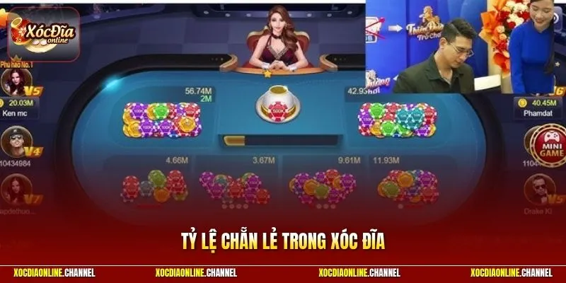 Chiến Thuật Áp Dụng Tỷ Lệ Chẵn Lẻ Thông Minh Nhất